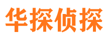 海港私家侦探公司